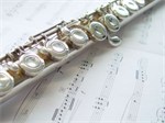 flutemaster0617