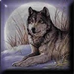 Webwolf